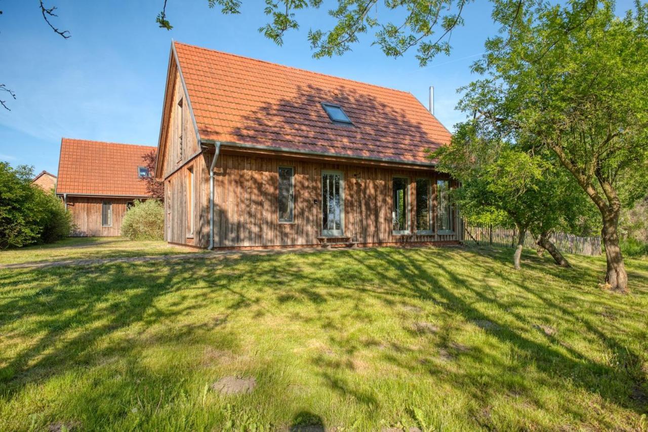 Traumhaff Kuestenchalets - Einzigartige Chalets An Der Ostsee. Ganz Aus Laerchenholz Mit Kamin Und Sauna Vogelsang-Warsin 外观 照片