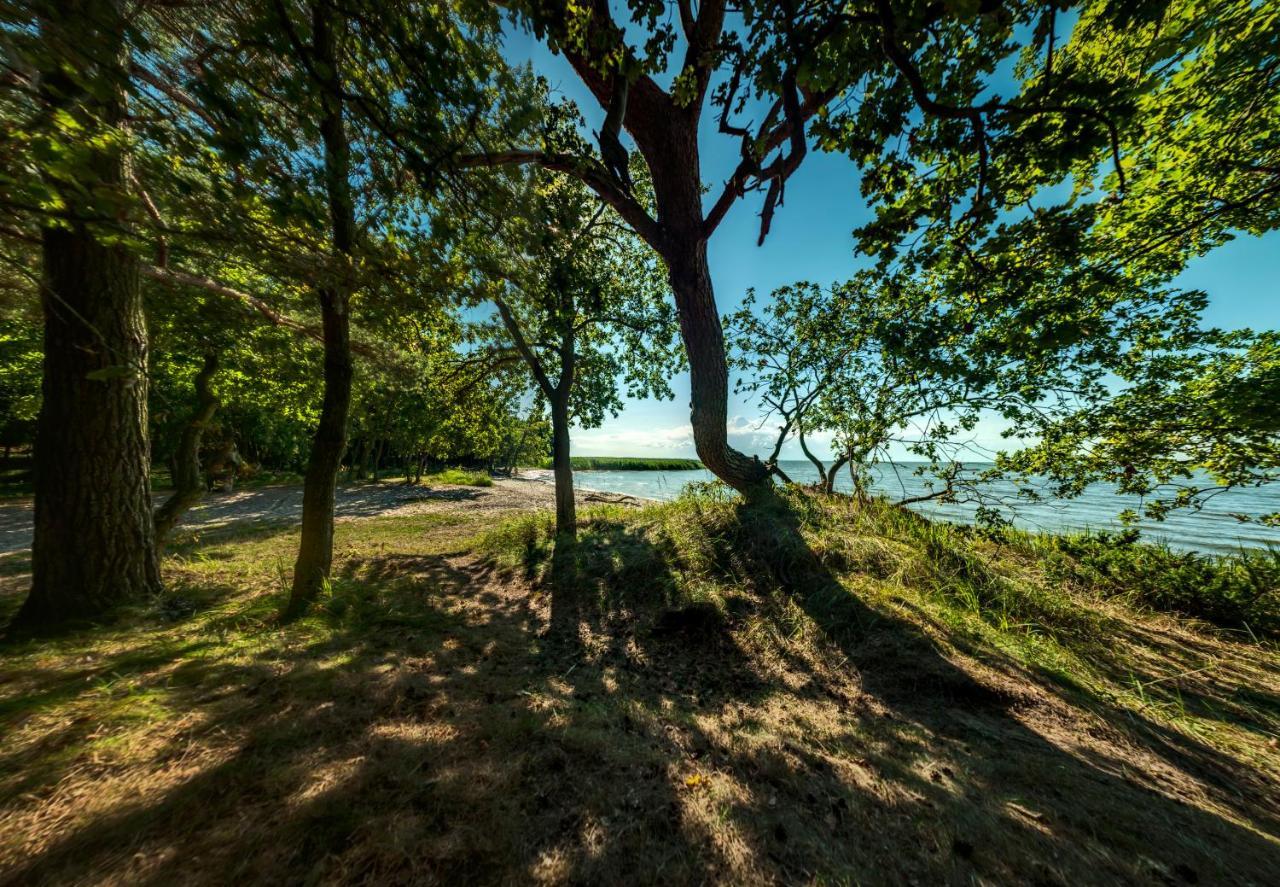 Traumhaff Kuestenchalets - Einzigartige Chalets An Der Ostsee. Ganz Aus Laerchenholz Mit Kamin Und Sauna Vogelsang-Warsin 外观 照片